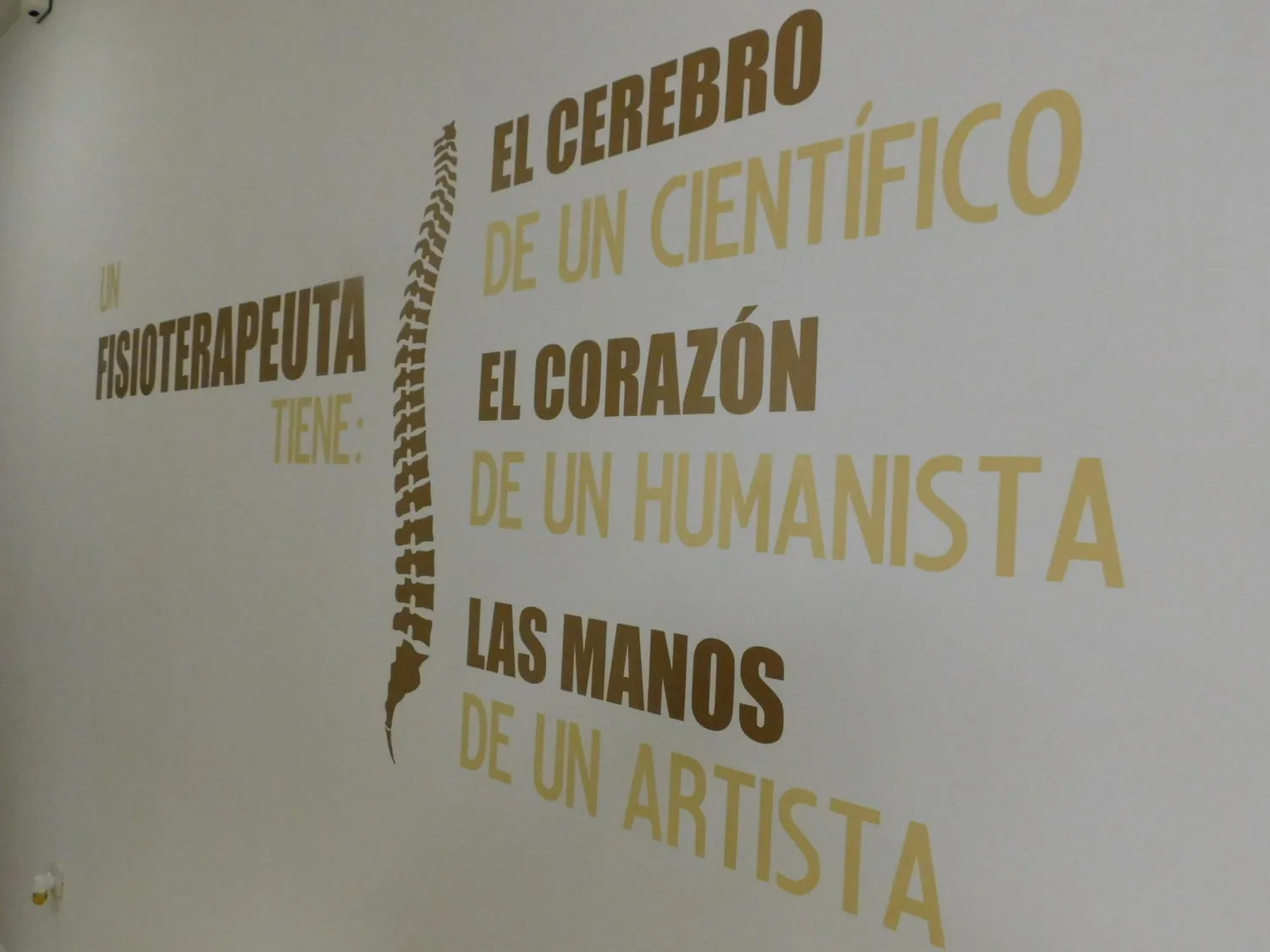 Clínica FisioDíaz en Daimiel — consulta de fisioterapia y terapia manual